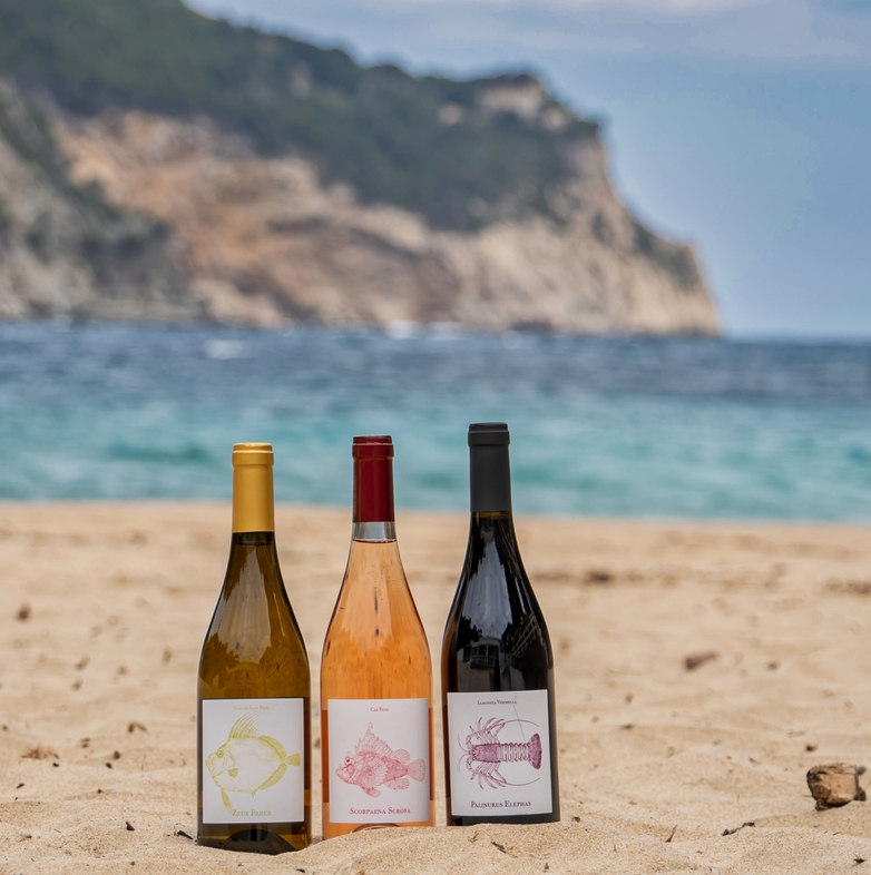 vinos-toc-al-mar